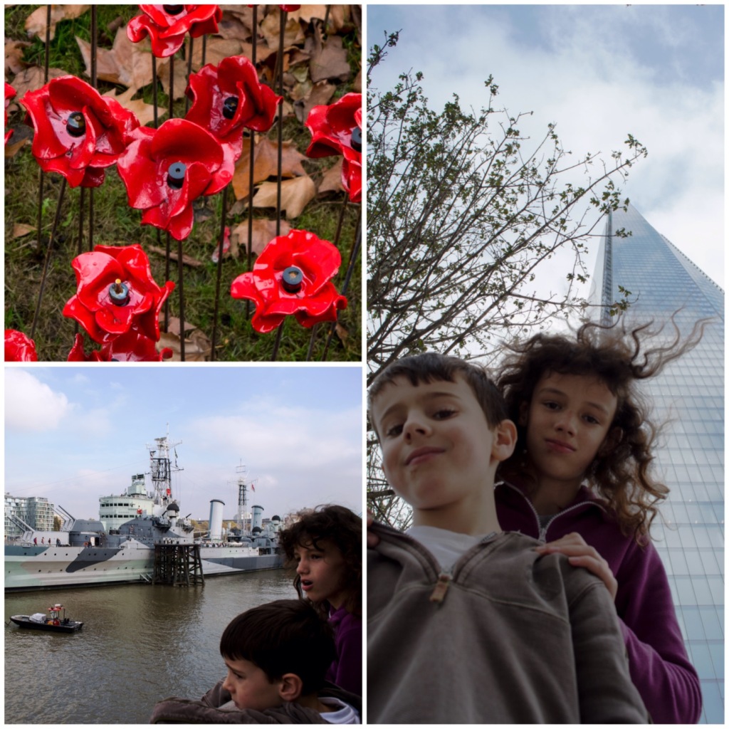 Visit to the Poppy display