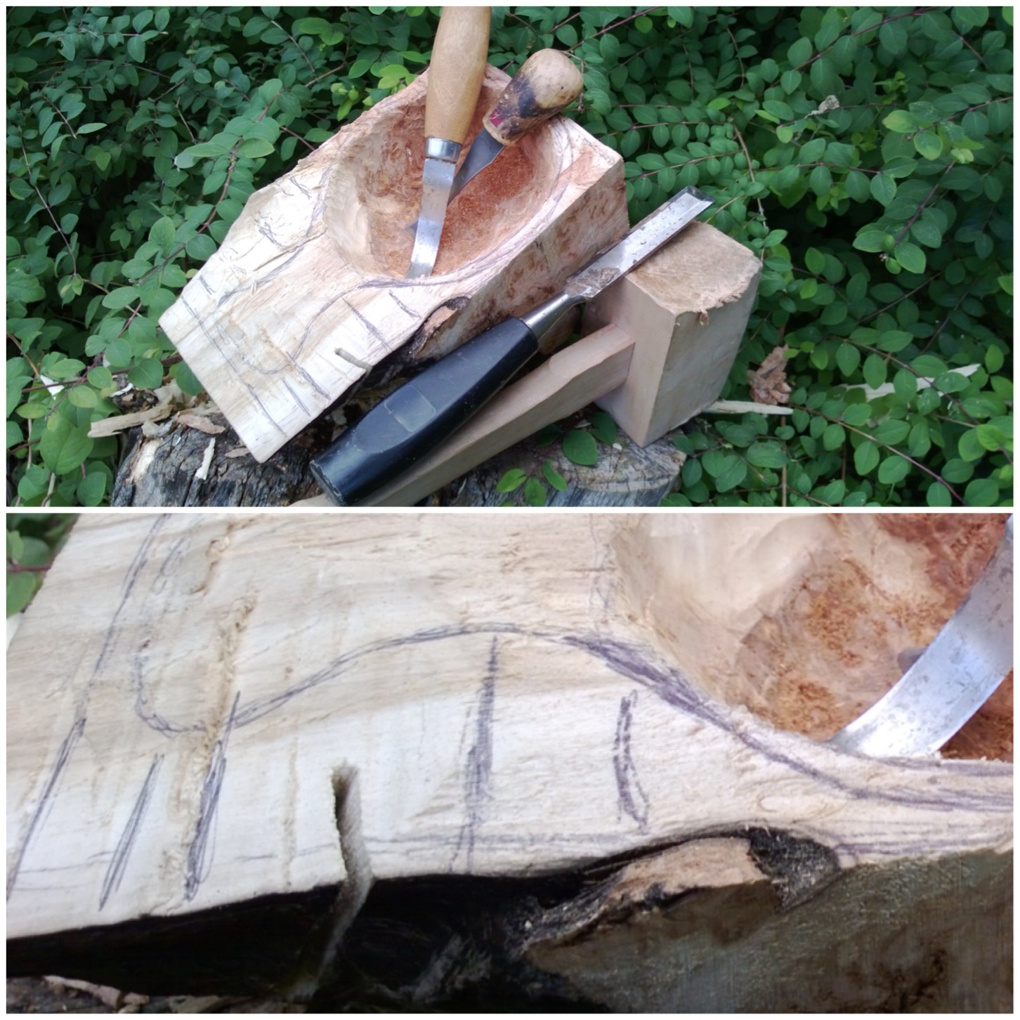 Carving a Kuksa in the Forest - Bushcraft, Axecraft, Buck Saw