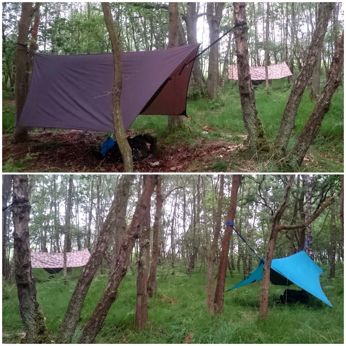 A dozen tarps and hammocks to put up