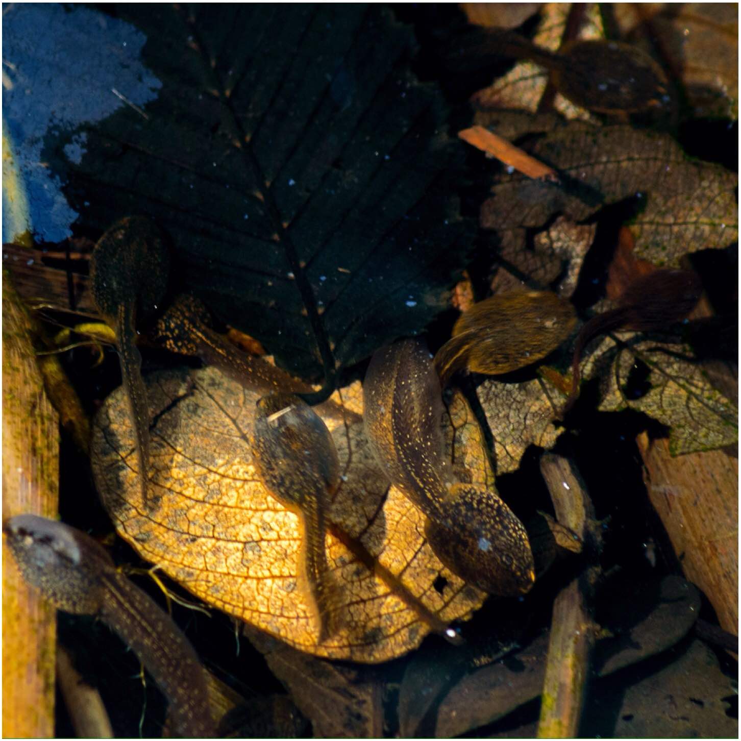 Photo 17-04-2016, 20 17 12
