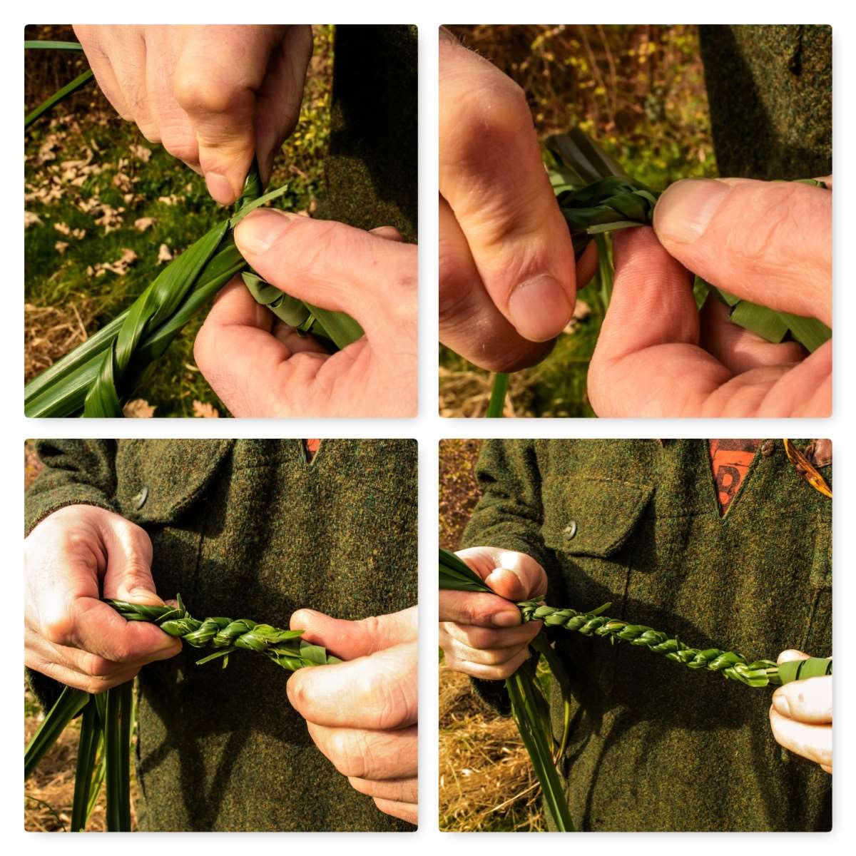 How To…. Make Quick and Strong Grass Rope – Bushcraft Days