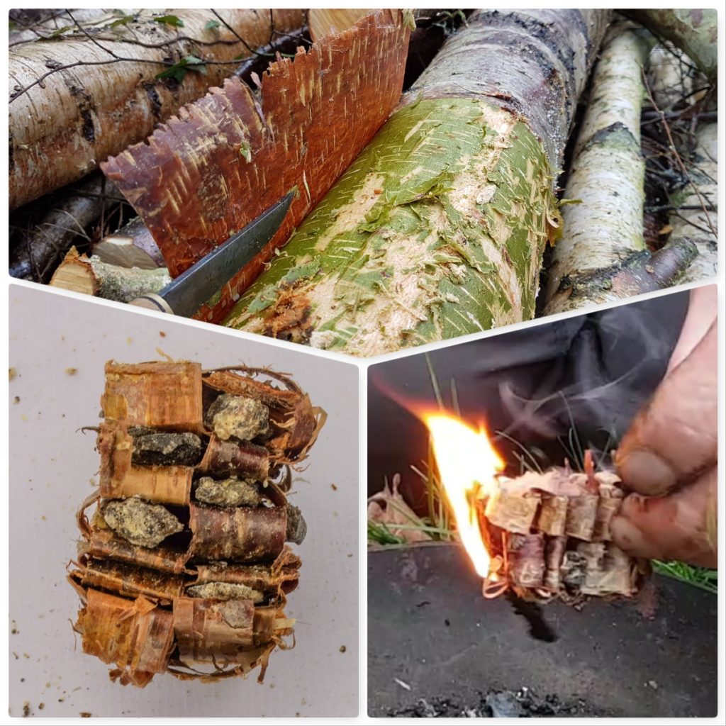 How To Weave A Natural Birch Bark Firelighter Bushcraft Days How To Weave A Natural Birch Bark Firelighter Bushcraft Days