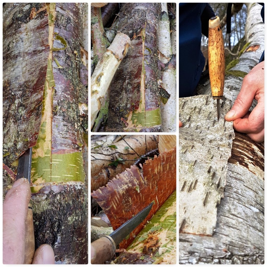 How To…. Weave a Natural Birch Bark Firelighter Bushcraft Days