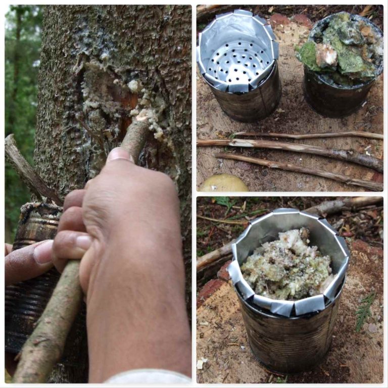 How To…. Make A Birch Bark Fire Fan Bushcraft Days