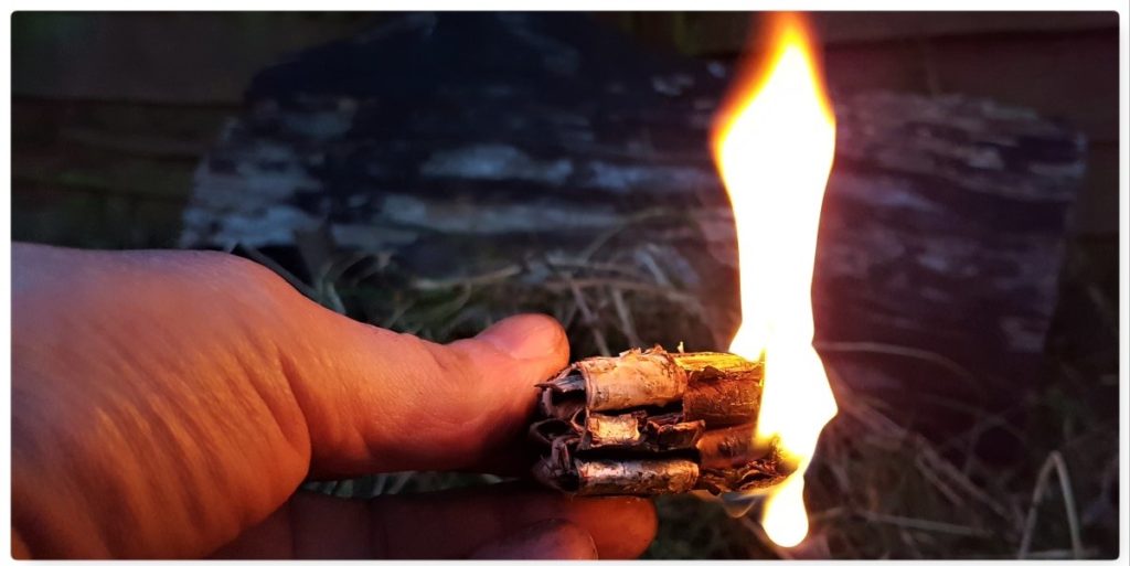 How To…. Weave a Natural Birch Bark Firelighter Bushcraft Days